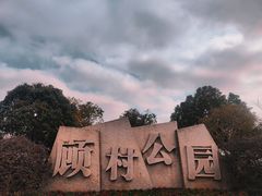 -顾村公园