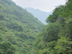-山沟沟景区
