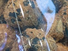 -罗莎蛋糕(魔法师司门口店)