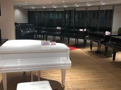 -柏斯音乐艺术中心·钢琴·吉他(上音店)