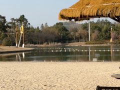 -上海佘山世茂艾美酒店