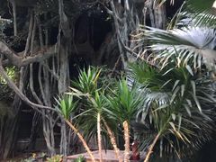 -龙达温泉生态城