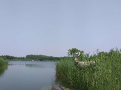 -溱湖国家湿地公园