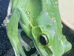 -上海大自然野生昆虫馆