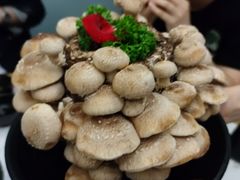 玉女菇（活体）-今日炊牛·潮汕牛肉火锅(华采天地店)