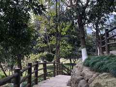 -百林公园-两江幸福广场