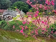 -南国桃园旅游度假区