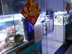 -中环花鸟鱼虫市场