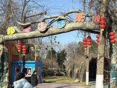 -合肥滨湖国家森林公园