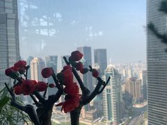 -上海中心大厦