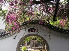 -深圳国际园林花卉博览园