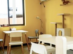 -22cafe