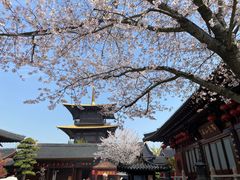 -广富林郊野公园