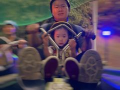 -圣淘沙天际线斜坡滑车
