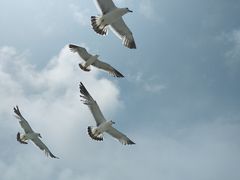 -海驴岛(荣成市)