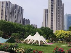-大望京公园