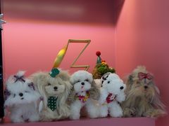 -FAELING PETS美天灵宠物(合生汇店)