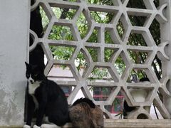 -西园戒幢律寺