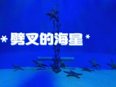 -太平洋海底世界