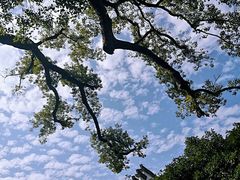 -新安江山水画廊风景区