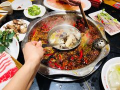 -一斗火锅·招财羊毛肚(泰吉滨江店)