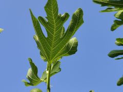 -洛阳周公庙博物馆