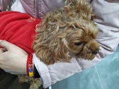 -巧手推拿中心(盲人推拿)