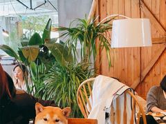 -the rug 飞毯 (朝阳公园店)