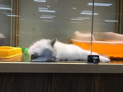 -乐宠宠物店(世纪金源店)