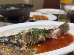 -新乾隆酒楼(帝景园店)