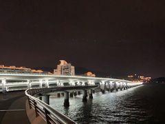 -演武大桥观景平台