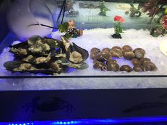-巴犀烧烤(新崇光店)