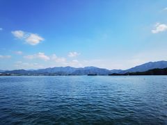 -浔味·山屿湖·正宗淳牌全鱼宴老字号