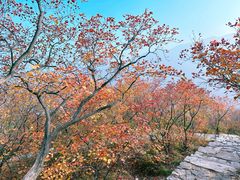 -周口店坡峰岭风景区