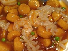 -老板恋上鱼(恒隆广场店)