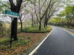 -同里国家湿地公园