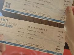 -合肥大剧院