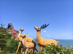 -大鹿岛