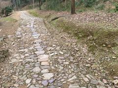 -仙霞关景区