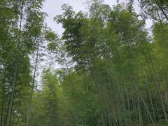 -千泷沟大瀑布旅游区