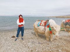 -青海湖国家重点风景名胜区