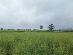 -汉长安城未央宫国家考古遗址公园