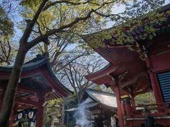 -井之头恩赐公园