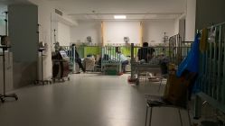 -天津市儿童医院(河西马场院区)