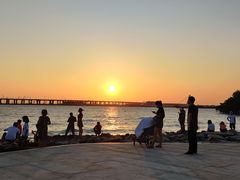 -宝安西湾红树林湿地公园