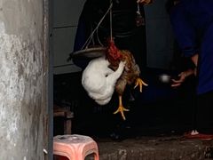 -陈有良尖椒鸡(江津总店)