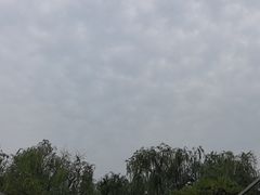 -名骏车业(园区星明店)