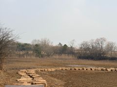 -盘龙城国家考古遗址公园