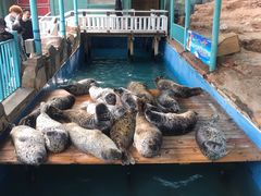 -大连圣亚海洋世界