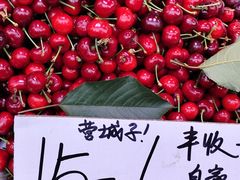 -桃源市场(解放路店)